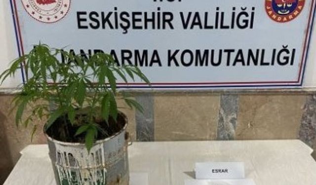 Polis ve jandarma ekiplerinden uyuşturucu operasyonu