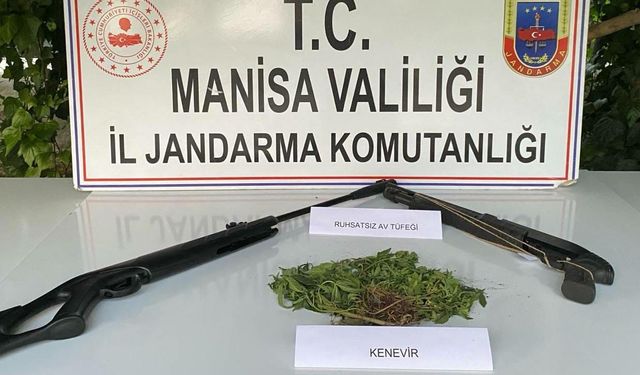 Sarıgöl’de Hint keneviri yetiştiren 3 kişi yakalandı