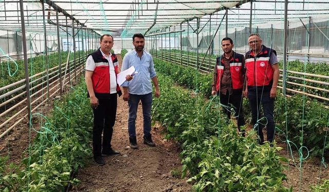 Simav’da yeni seraların tespitleri ve ürün kontrolleri