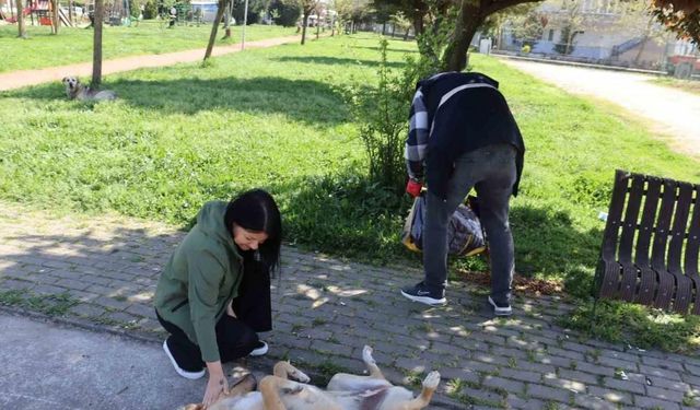 Sokak hayvanlarını unutmadılar