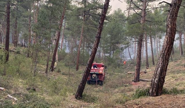 Tavşanlı’da orman yangını