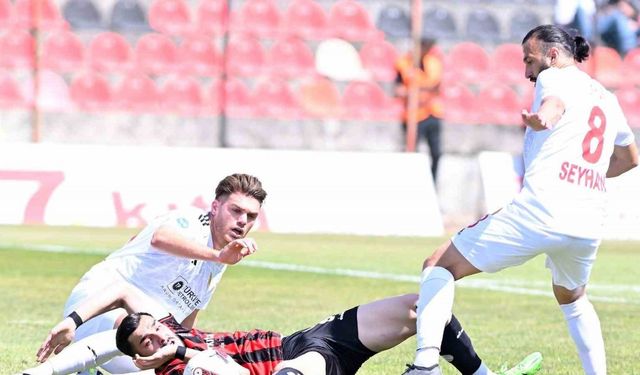 TFF 3. Lig 2. Grup şampiyonu Batman Petrolspor