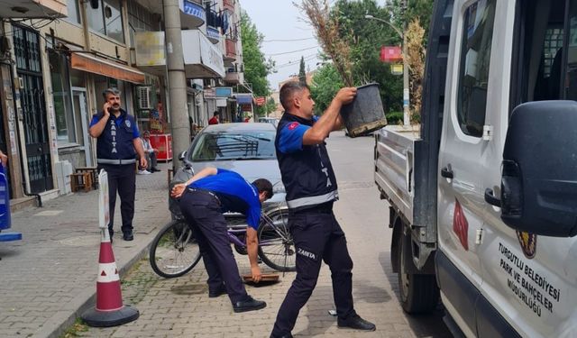 Turgutlu Belediyesi Zabıta Ekipleri göz açtırmıyor