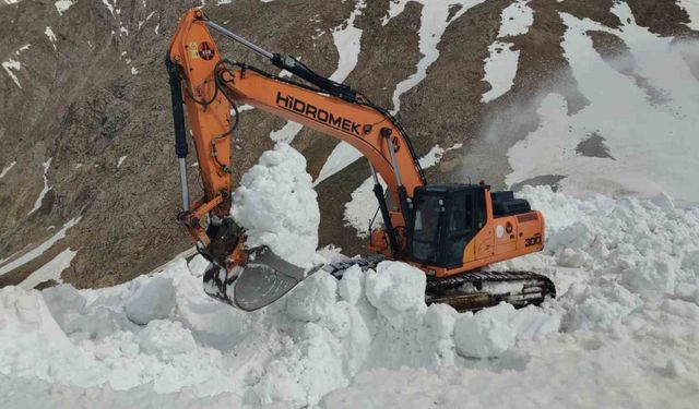 Van-Bahçesaray karayolu 130 gündür kapalı