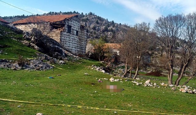 Yaşlı kadının ölümüne sebep olan çoban köpeklerinin sahibi tutuklandı