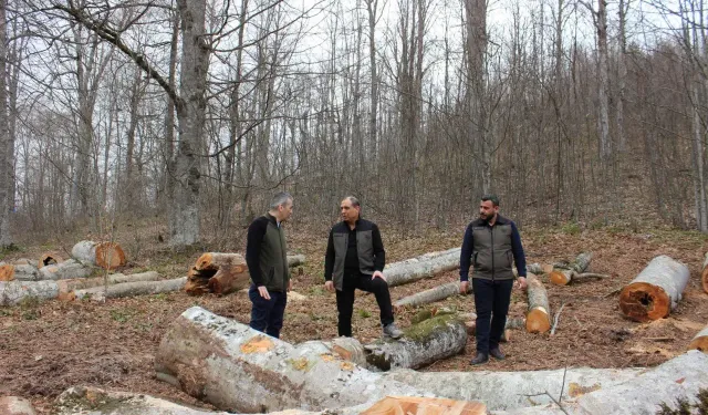 Önder Terzi, Güney Dokurcun'da İncelemelerde Bulundu