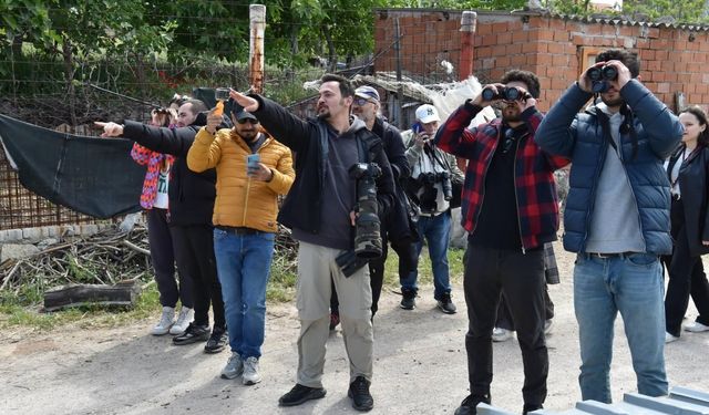 Çanakkale'de "Doğa ve Kuş Göç Festivali" düzenlendi