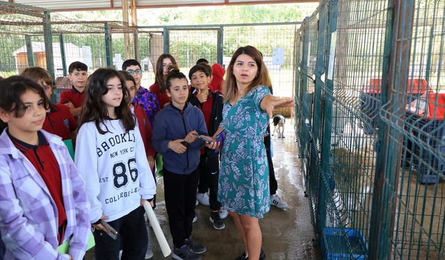 Çiftlikköy'de öğrenciler İngilizce dersini barınakta işledi
