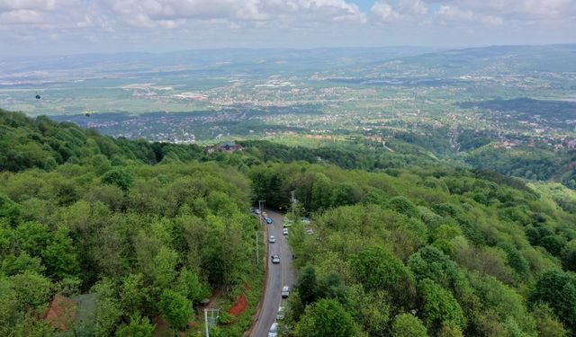 Kocaeli'de düzenlenen AVIS 2024 Türkiye Tırmanma Şampiyonası'nın 2. ayağı tamamlandı