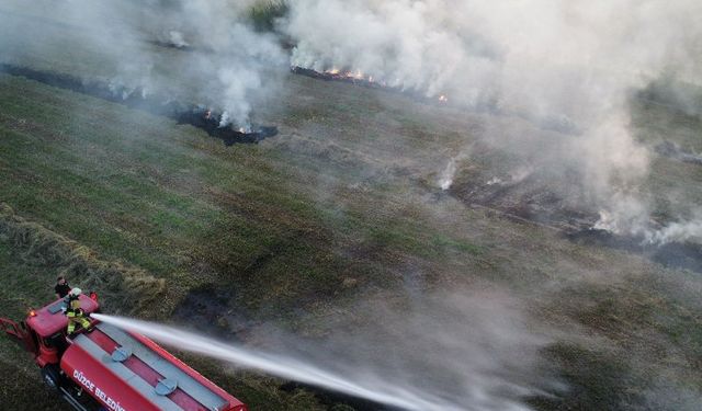 Düzce'de çıkan anız yangını korkuttu