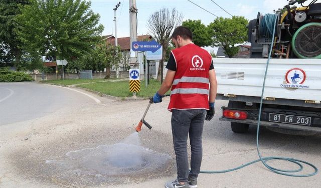 Düzce'de ilaçlama çalışmaları devam ediyor