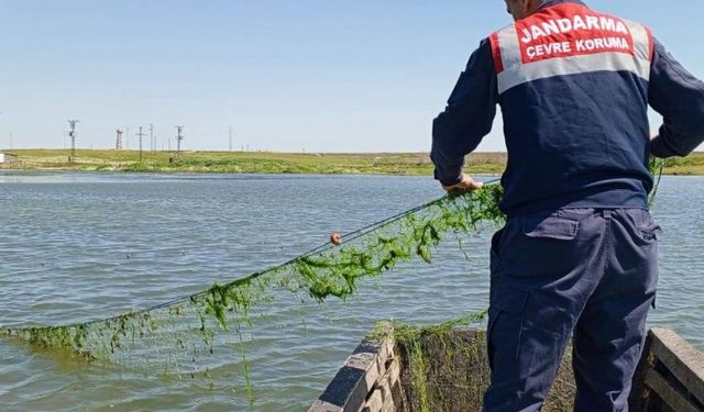 Edirne'de jandarma balık ağlarını topladı