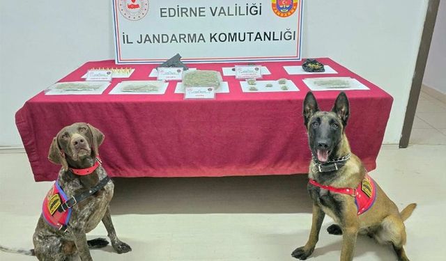 Edirne'deki operasyonda uyuşturucu madde tabanca ve fişek ele geçirildi