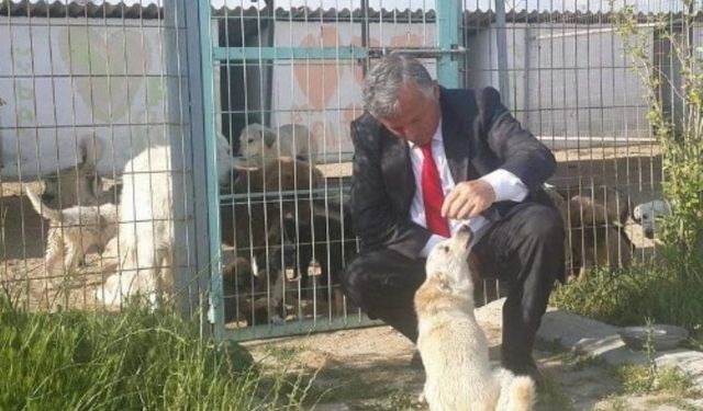 İpsala Sokak köpeklerine sahip çıkacak