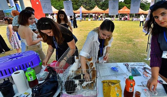 İzmir'de 'sahiplendirme' şenliği