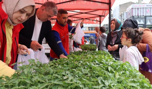 İzmit'te tarımsal kalkınmaya fide desteği