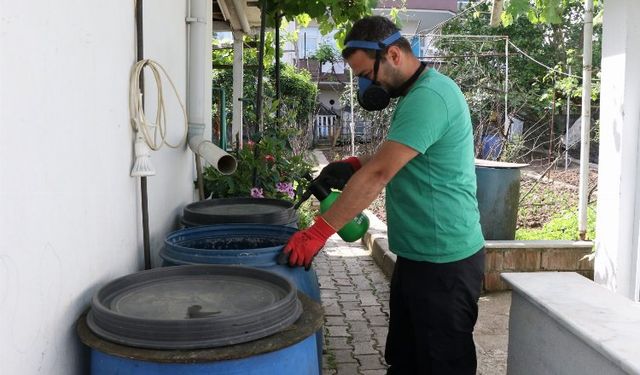 Kocaeli'de sivrisineklerle mücadele çalışmaları sürüyor