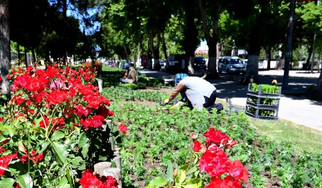 Malatya'da peyzaj çalışmaları