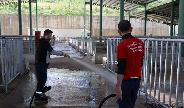 Modern Hayvan Pazarı, Kurban Bayramı’na hazırlanıyor