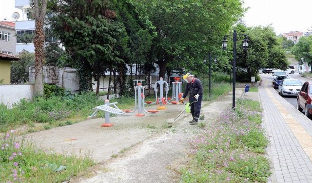 Mudanya'da park ve yeşil alanlara bakım