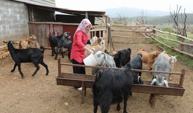 Muğlalı kadın üreticiler kazanıyor