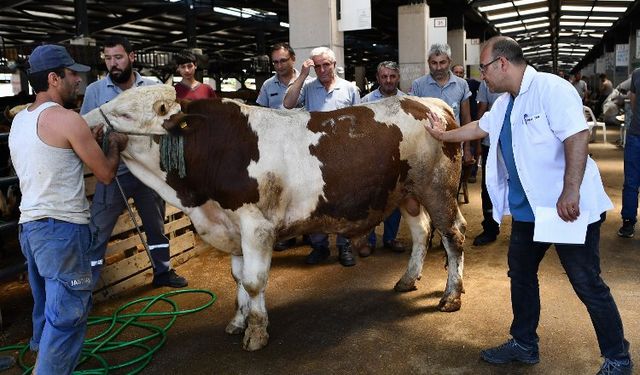 Osmangazi Belediyesinde Kurban Bayramı hazırlığı