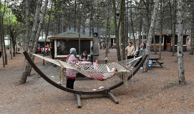 Piknikçilerin yeni gözdesi Park Ankara