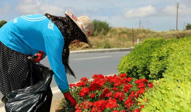 Alanya’da 571 bin 250 adet mevsimlik çiçek toprakla buluştu