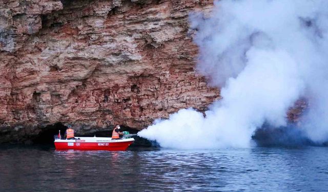 Antalya Büyükşehir Belediyesinden bin 600 personelle vektörel mücadele