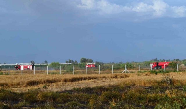 Antalya’da 250 dekarlık buğday tarlası hasat yapılamadan kül oldu