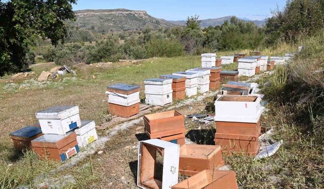 Antalya’da fırtına ve dolu tarım alanlarını vurdu