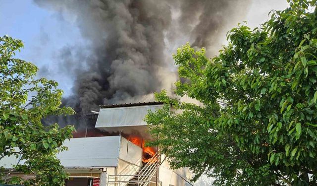 Antalya’da iki yayla evi alevlere teslim oldu