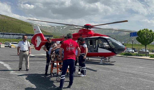 Arıların soktuğu hasta ambulans helikopterle Tatvan’a sevk edildi