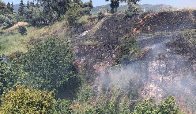 Aydın’da arazi yangını korkuttu