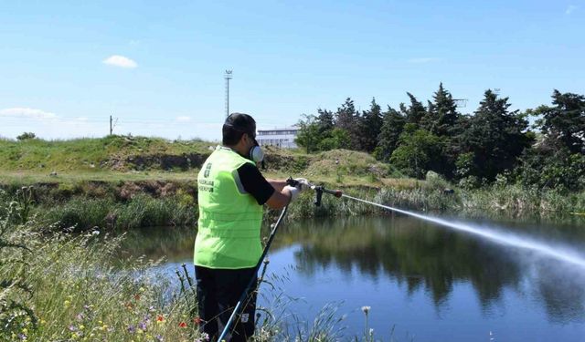 Balıkesir Büyükşehir, haşereyle mücadeleyi sürdürüyor