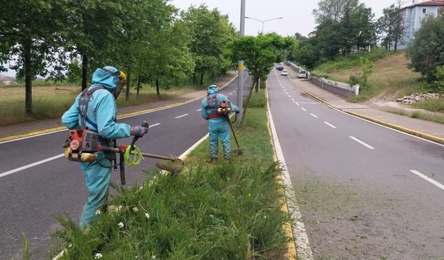 Başiskele yaza hazırlanıyor