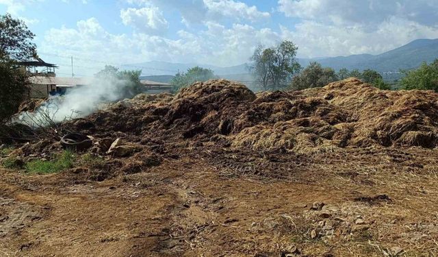 Bozdoğan’da 70 ton saman kül oldu