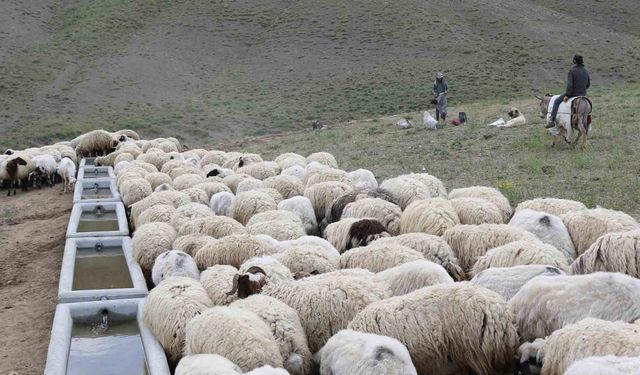 Büyükşehir’den Pınarbaşı’ya mahalle mahalle tarımsal hizmet