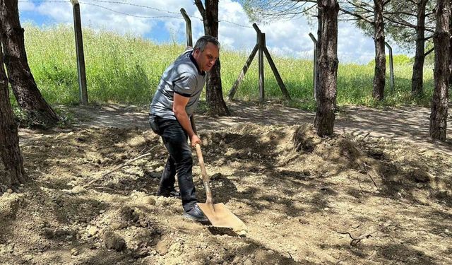 Definecilerin talan ettiği şehit mezarlığı ve çevresine mahalleli sahip çıktı