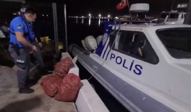 Denizde kaçak salyangoz avlayan kişiye 66 bin TL ceza