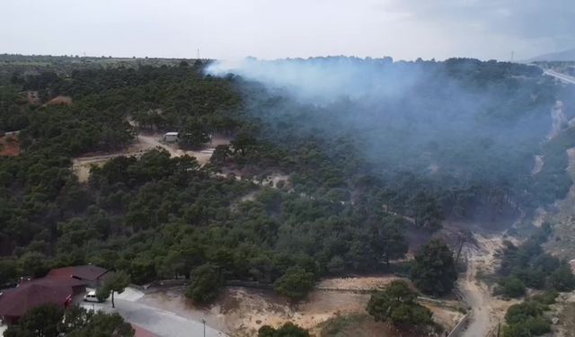 Denizli’de piknik ateşi yangına yol açtı