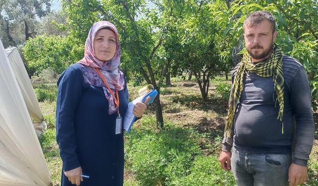 Efeler İlçe ve Tarım Orman Müdürlüğü anket çalışmalarını tamamladı