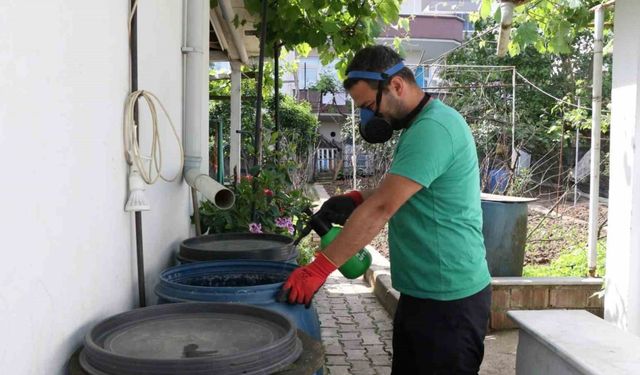 Ekipler sivrisineklerle mücadele için sahada