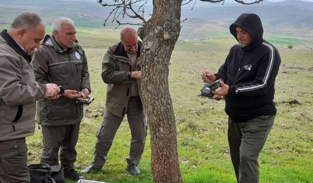 Elazığ’da fotokapanların bakımı yapıldı