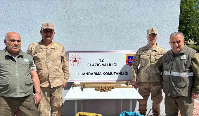 Elazığ’da salep bitkisi toplayan 4 kişiye idari para cezası uygulandı