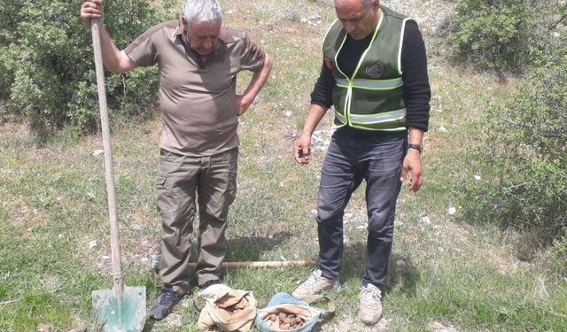 Elazığ’da salep soğanı toplayan 8 kişiye 3 milyon 100 bin lira ceza