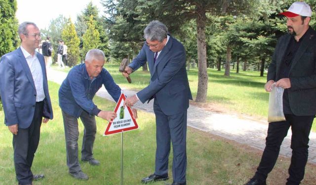 Erciyes Üniversitesi ’gelengi’leri besledi