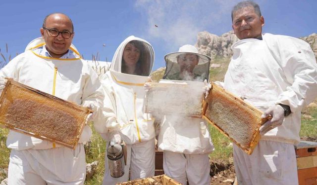 Erzincan’da 100 bin üzeri kolonide 1 milyon kilogram bal üretiliyor