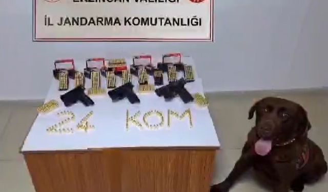 Erzincan’da silah kaçakçısı 1 kişi yakalandı