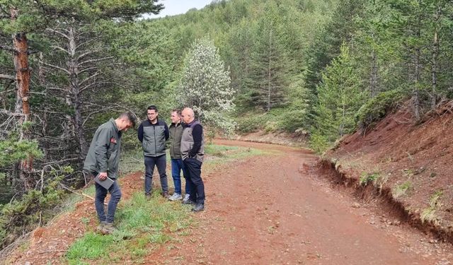 Erzurum Orman Bölge Müdürü Ayatay, Refahiye ormanlarında incelemelerde bulundu